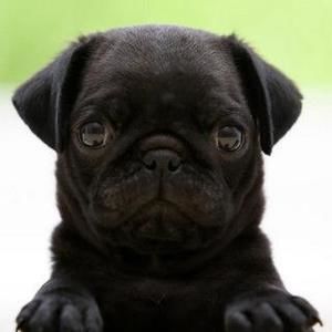 Meet your Posher, Skylar